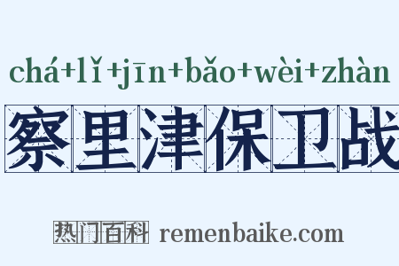 察里津保卫战是什么意思的图片